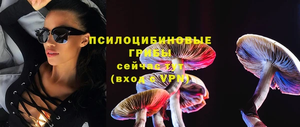 гашик Абаза