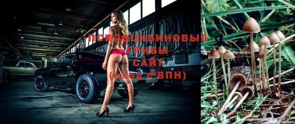 гашик Абаза